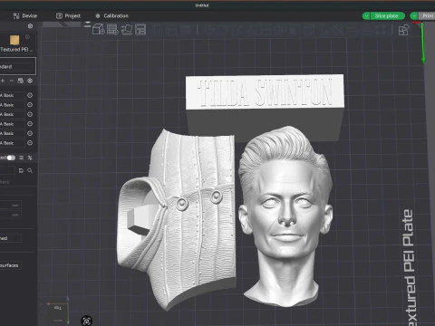 TILDA SWINTON 3D Printable Model 3D Print Model