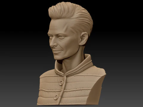 TILDA SWINTON 3D Printable Model 3D Print Model