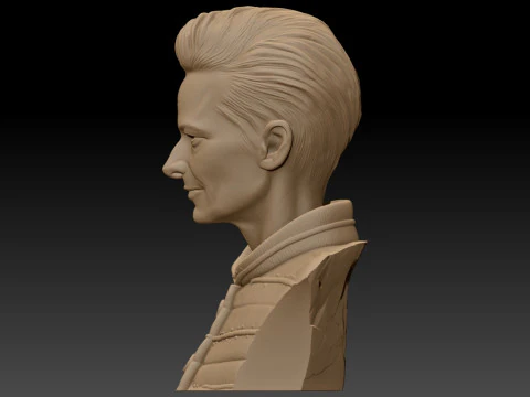 TILDA SWINTON 3D Printable Model 3D Print Model