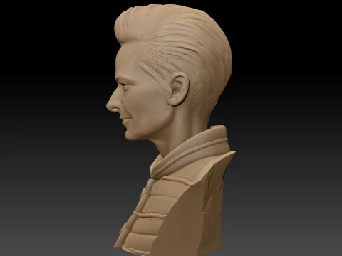 TILDA SWINTON 3D Printable Model 3D Print Model