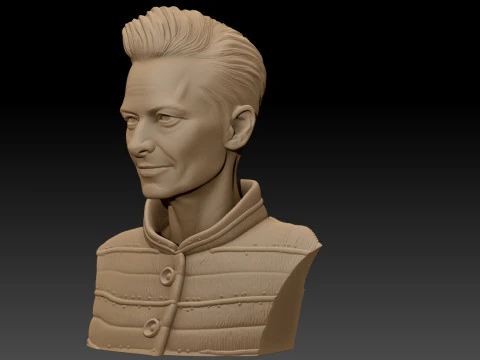 TILDA SWINTON 3D Printable Model 3D Print Model
