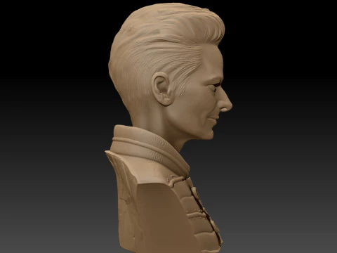 TILDA SWINTON 3D Printable Model 3D Print Model