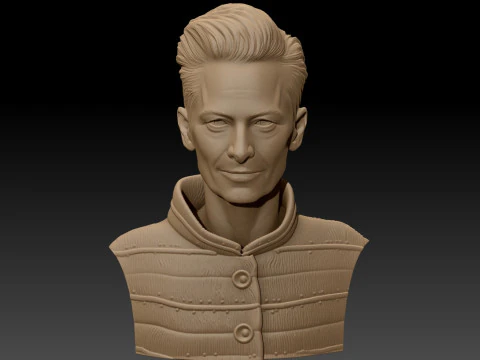 TILDA SWINTON 3D Printable Model 3D Print Model