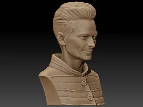 TILDA SWINTON 3D Printable Model 3D Print Model