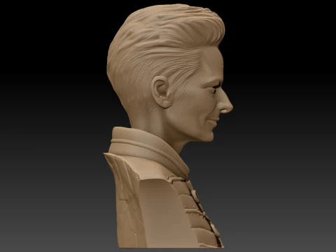 TILDA SWINTON 3D Printable Model 3D Print Model