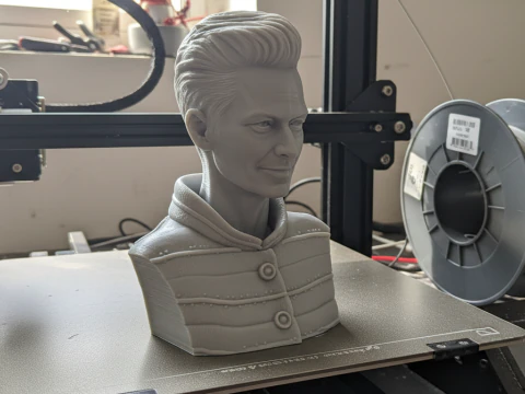 TILDA SWINTON 3D Printable Model 3D Print Model