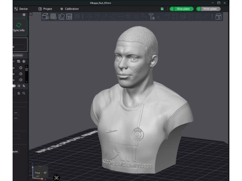 Kylian Mbapp 3D Printable Figure Bust 3D Print Model