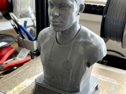 Kylian Mbapp 3D Printable Figure Bust 3D Print Model