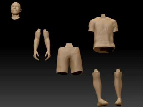 Kylian Mbapp 3D Printable Figure Bust 3D Print Model
