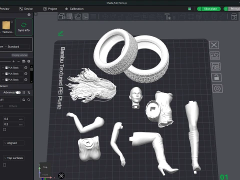 Lady Car 3D Printable Figure 3D Print Model