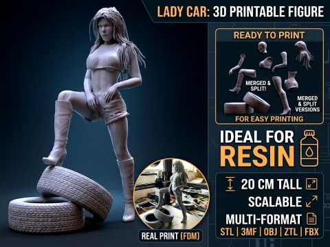 Lady Car 3D Printable Figure 3D Print Model