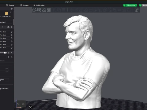 Mario Pergolini printable bust 3D Print Model