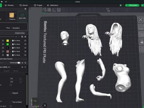 Pregnancy printable figure 3D Print Model