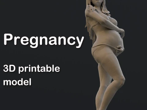 Pregnancy printable figure 3D Print Model