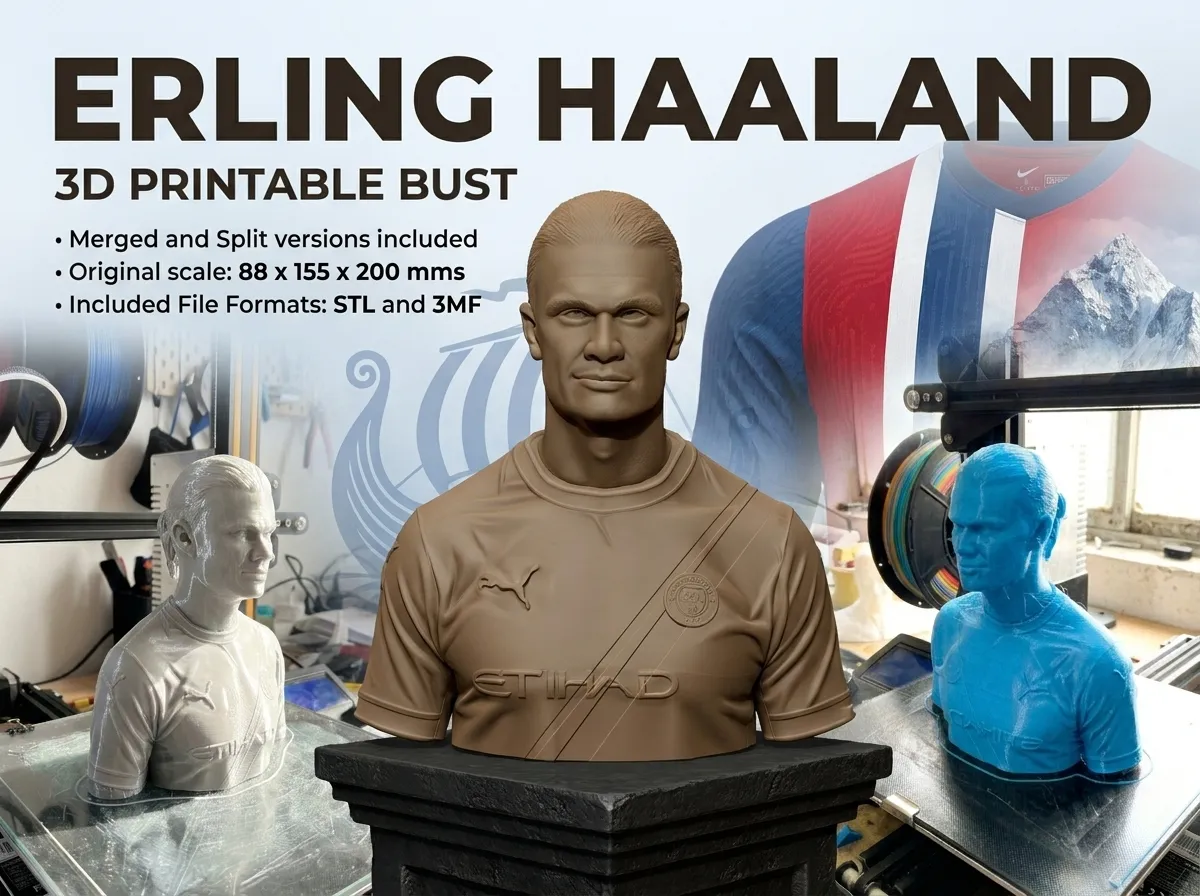 Erling Haaland 3D Printable Bust 3D Print Model .c4d .max .obj .3ds .fbx .stl .blend