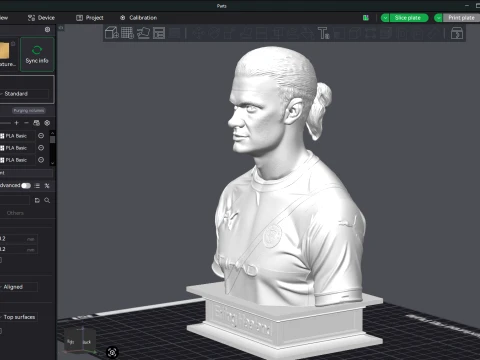 Erling Haaland 3D Printable Bust 3D Print Model