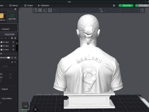 Erling Haaland 3D Printable Bust 3D Print Model
