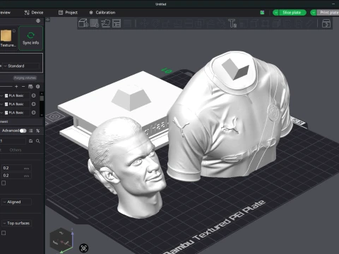 Erling Haaland 3D Printable Bust 3D Print Model