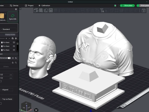 Erling Haaland 3D Printable Bust 3D Print Model