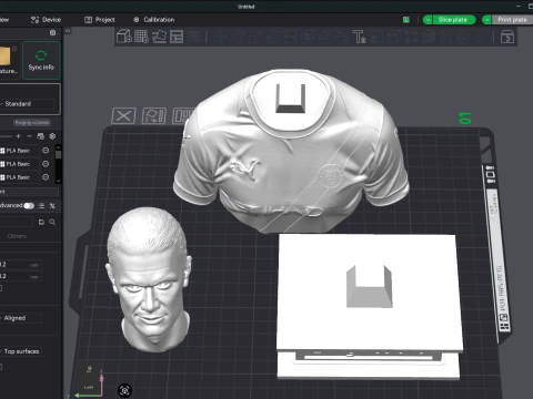 Erling Haaland 3D Printable Bust 3D Print Model