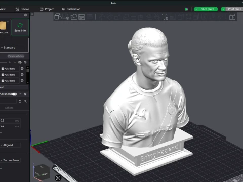 Erling Haaland 3D Printable Bust 3D Print Model