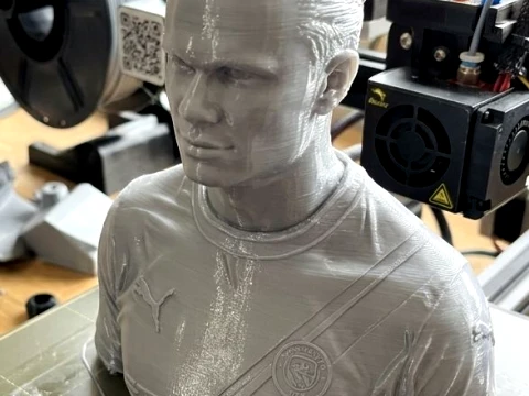 Erling Haaland 3D Printable Bust 3D Print Model