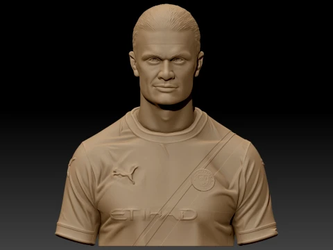 Erling Haaland 3D Printable Bust 3D Print Model