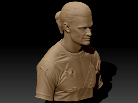 Erling Haaland 3D Printable Bust 3D Print Model