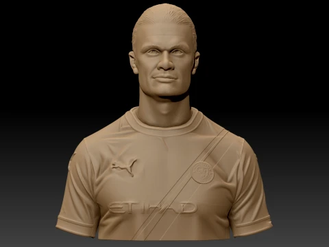 Erling Haaland 3D Printable Bust 3D Print Model