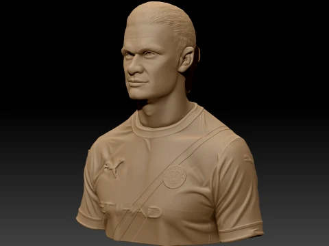 Erling Haaland 3D Printable Bust 3D Print Model