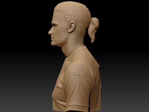 Erling Haaland 3D Printable Bust 3D Print Model