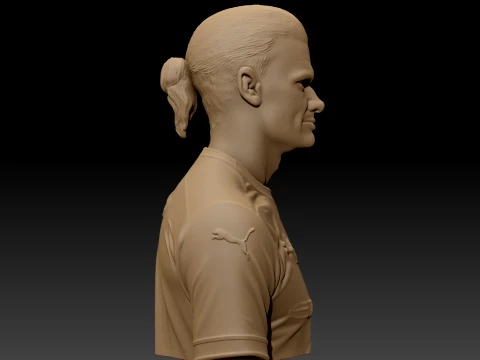 Erling Haaland 3D Printable Bust 3D Print Model