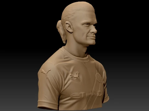 Erling Haaland 3D Printable Bust 3D Print Model