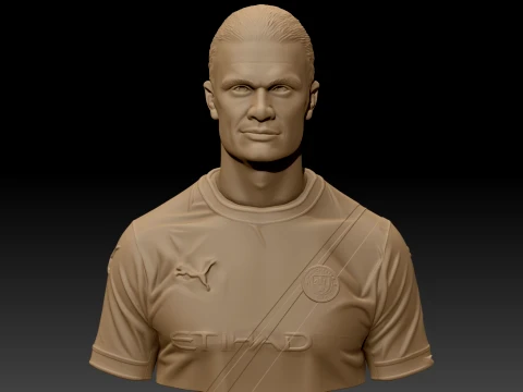 Erling Haaland 3D Printable Bust 3D Print Model