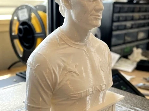 Erling Haaland 3D Printable Bust 3D Print Model