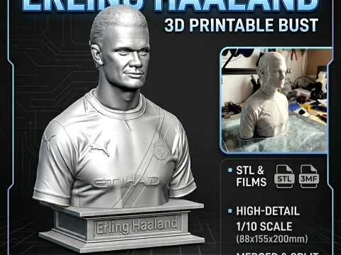 Erling Haaland 3D Printable Bust 3D Print Model