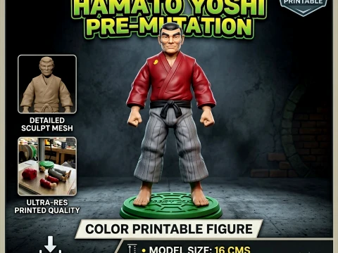 Rysunek do druku w kolorze TMNT Hamato Yoshi przed mutacją Model do druku 3D