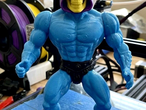 Skeletor 80s Articulated Color Printable Figure 3D Print Model