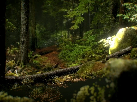 Jungle Trail Point Cloud 3D Environment 3D Model