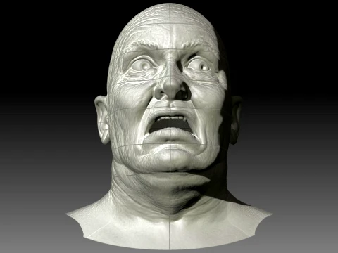 Total Recall 1990 Lady Mars Head Full Size 3D Print Model