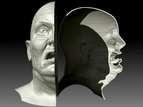 Total Recall 1990 Lady Mars Head Full Size 3D Print Model