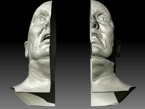 Total Recall 1990 Lady Mars Head Full Size 3D Print Model