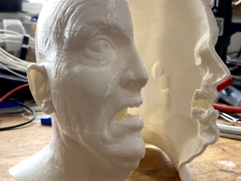 Total Recall 1990 Lady Mars Head Full Size 3D Print Model