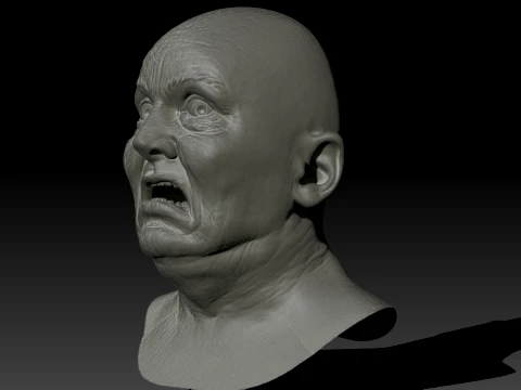 Total Recall 1990 Lady Mars Head Full Size 3D Print Model
