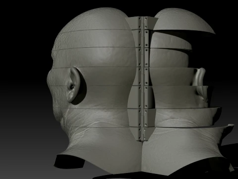 Total Recall 1990 Lady Mars Head Full Size 3D Print Model