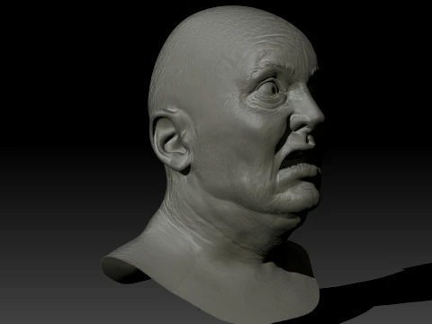 Total Recall 1990 Lady Mars Head Full Size 3D Print Model