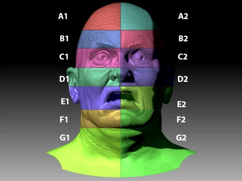 Total Recall 1990 Lady Mars Head Full Size 3D Print Model