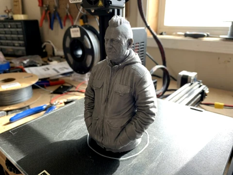 Ricardo Iorio 3D Printable Bust 3D Print Model
