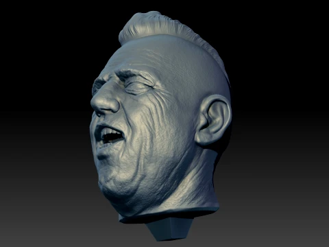 Ricardo Iorio 3D Printable Bust 3D Print Model