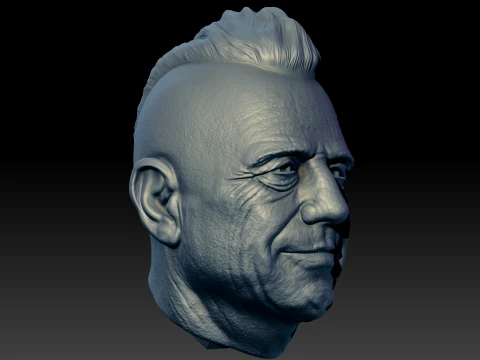 Ricardo Iorio 3D Printable Bust 3D Print Model